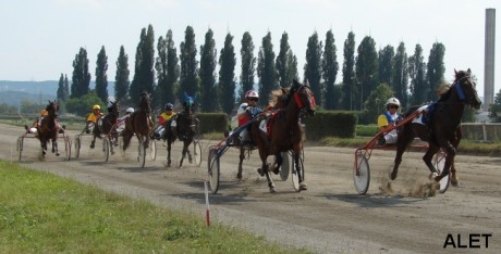 1.dostih - 20.7.2007  2.jpg